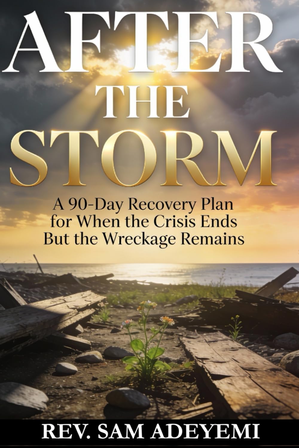After the Storm: A 90-Day Recovery Plan for When the Crisis Ends But the Wreckage Remains
