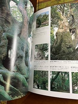 Amazon.co.jp: 書籍 講談社 日の天然記念物 全6巻セット図鑑幼児