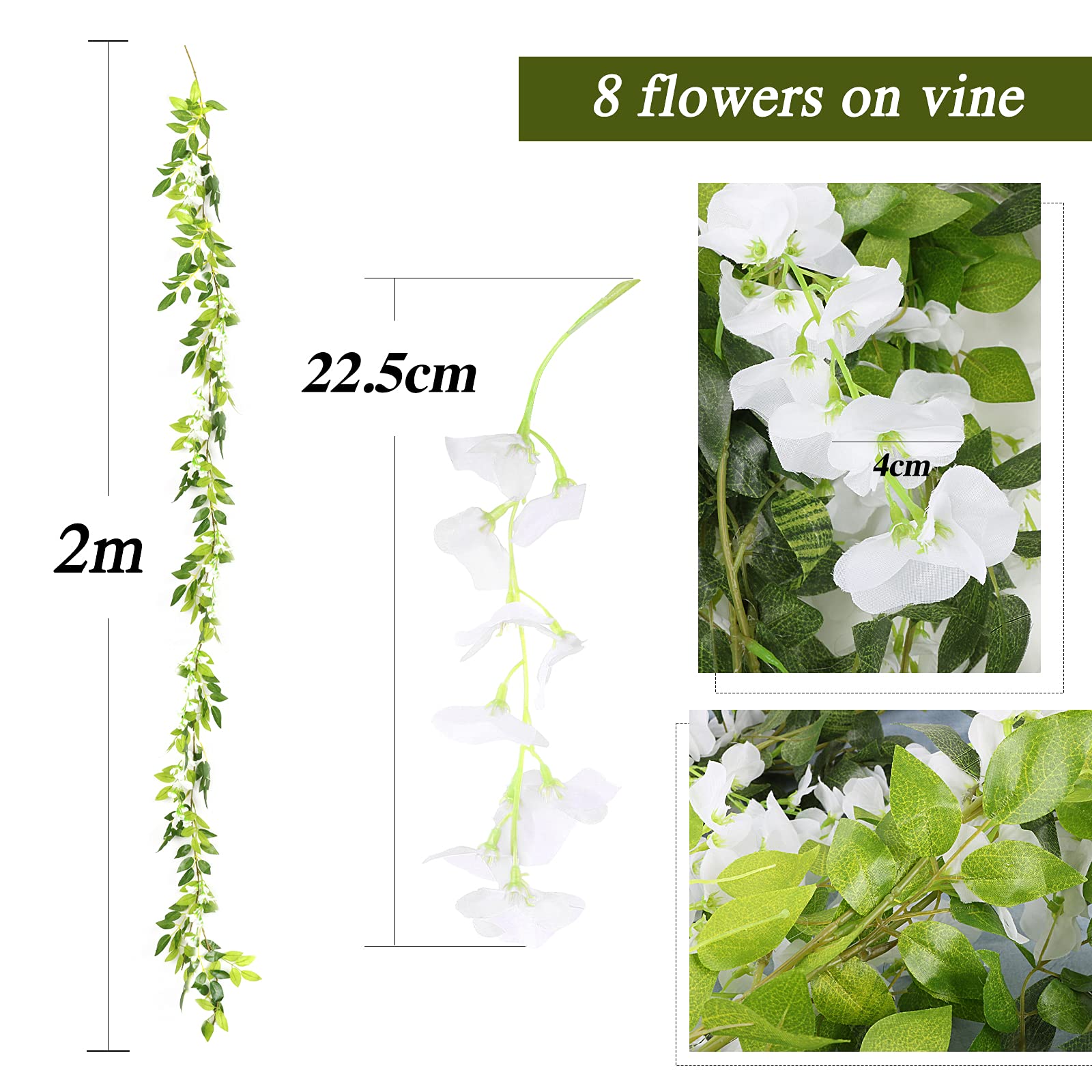 Wisteria sinensis - Chinese blauwe regen Tuincentrum Koeman