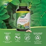 Nature's Way Astragalus Root Supplement – 470mg – Used in Herbal Medicine to Help Maintain the Immune System – Helps Increase Energy and Resistance to Stress – 180 Vegetarian Capsules