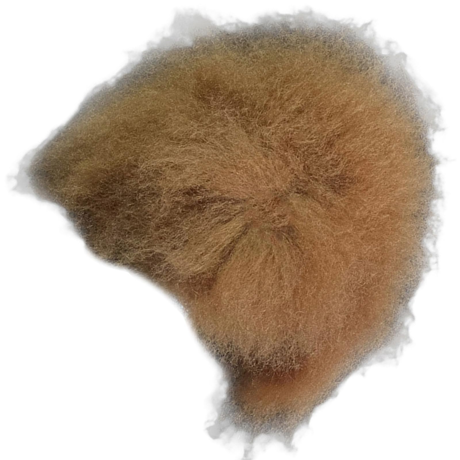 Tête de mannequin pour animal de compagnie et toilettage du chien