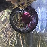 Review Image by Mario J. Lewis-Soper Mario J. Lewis-Soper