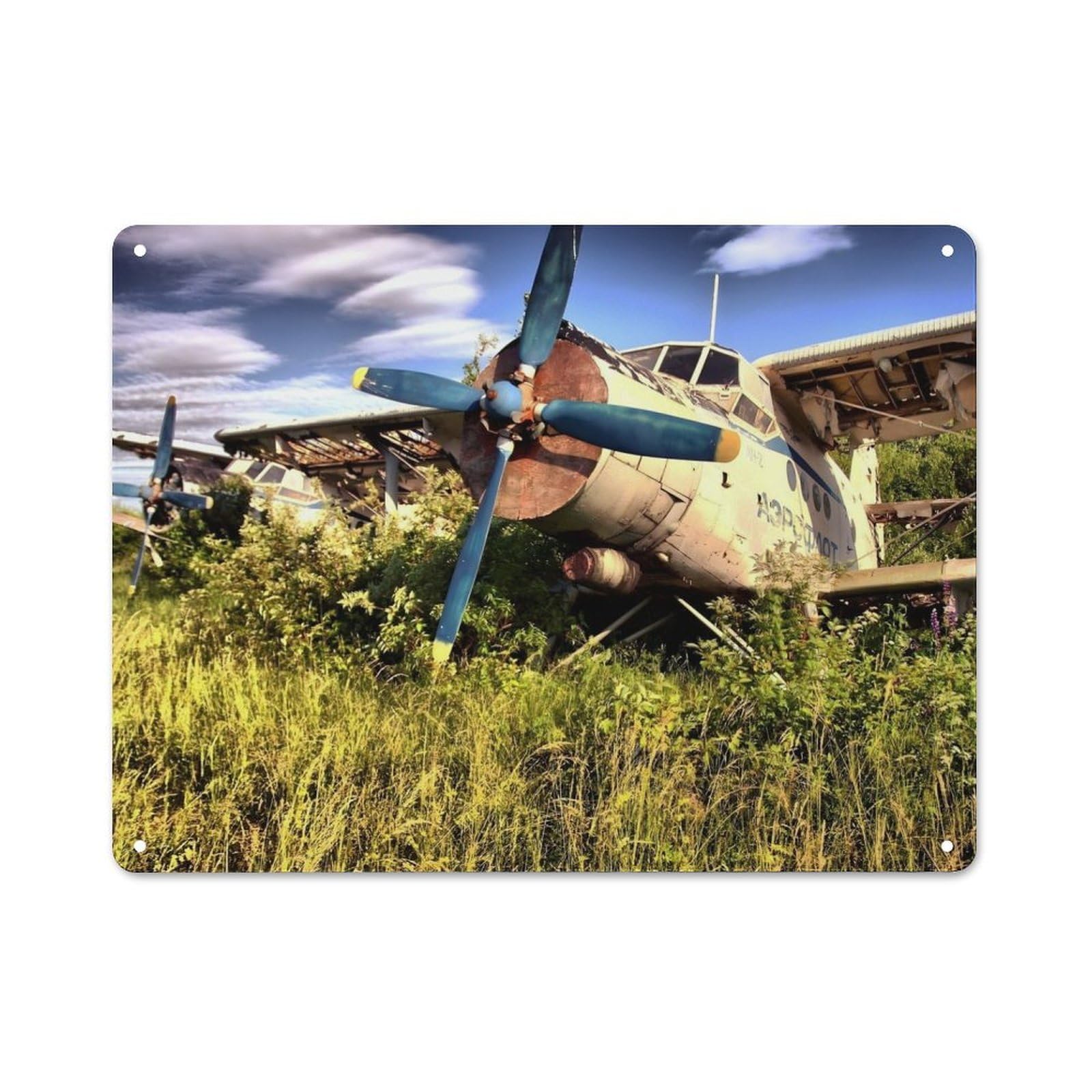 Junmoney Style-22-11 Antonov An 2 Rustic Tin Sign 30X40cm, Vintage Porch Wall Decor For Conservatory, Home Bar Or Utility Room