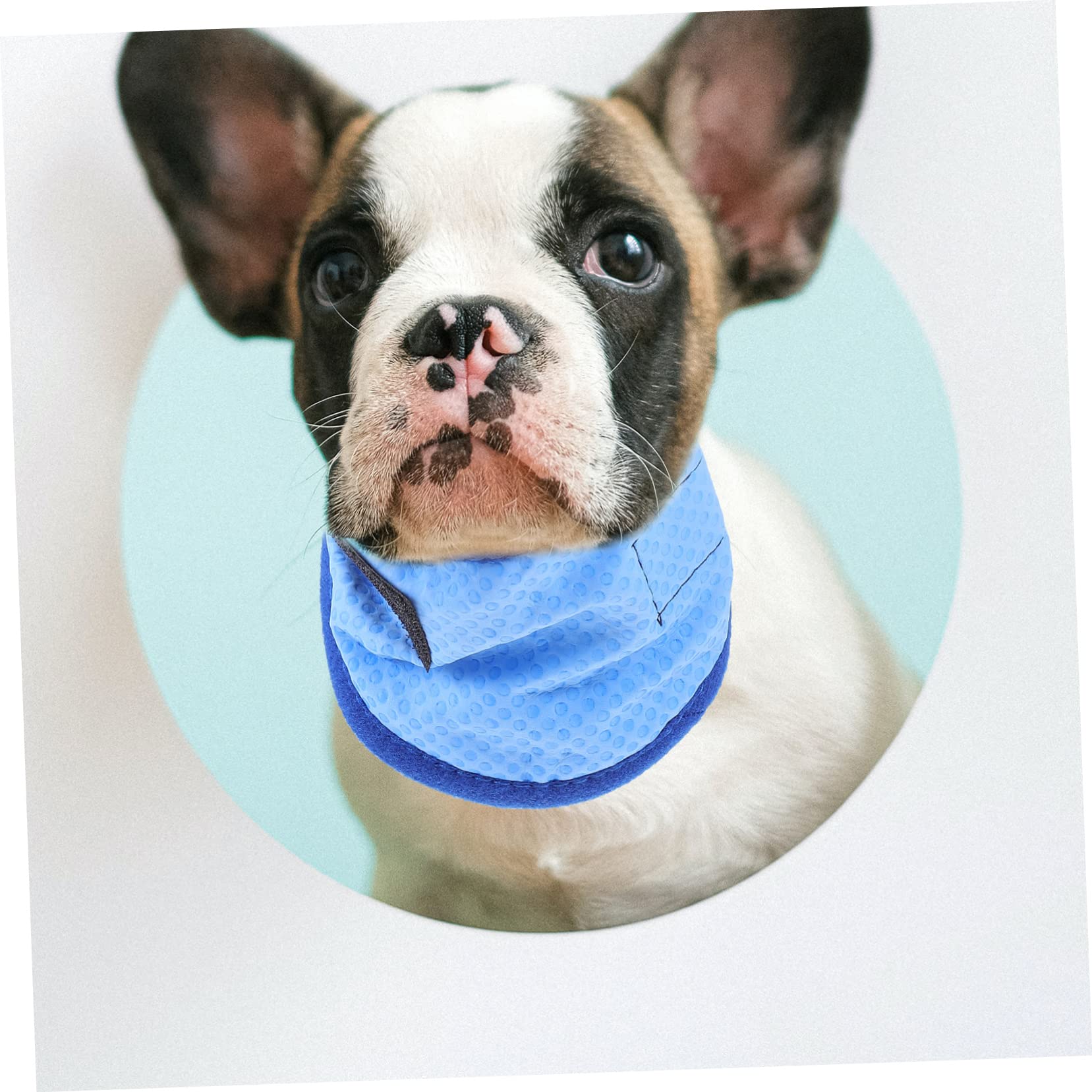 Supvox 5 Stück Haustier Kühlschal Hunde Bandana Heimtierbedarf Tragbarer Haustier Schal Hundeschirm Handtücher Großes Hundezubehör Kühlendes