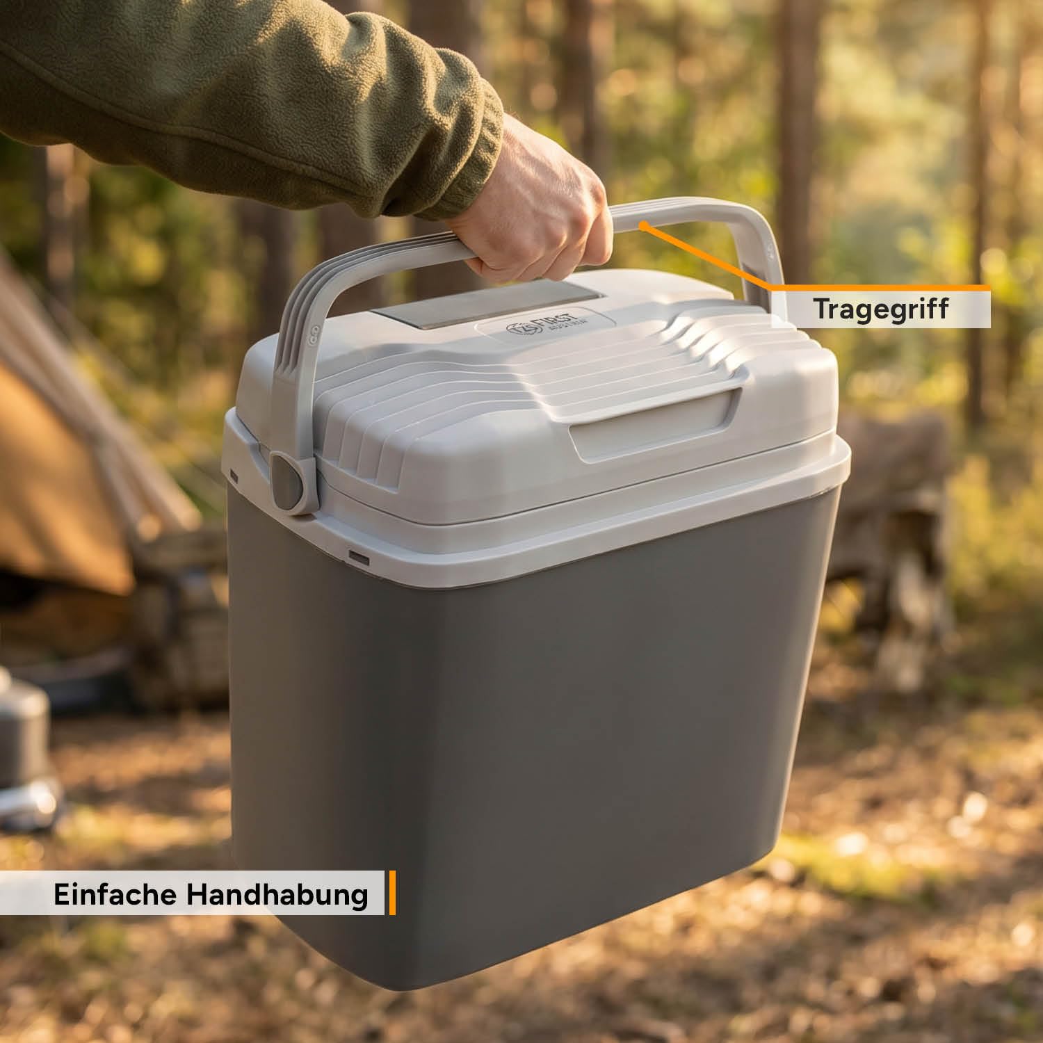 TZS First Austria Thermoelektrische Kühlbox 20L 12V/230V/USB-C PD 3.0 Kühlen Wärmen Grau