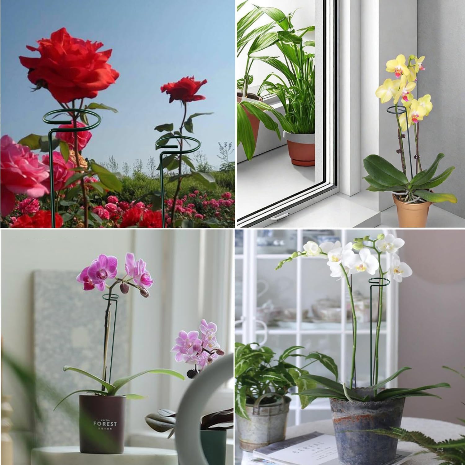 Supporto per piante, 40 cm, 20 pezzi, supporto per fiori, piante perenni, in acciaio, con anello per fiori, gigli, peonie, rose, pomodori