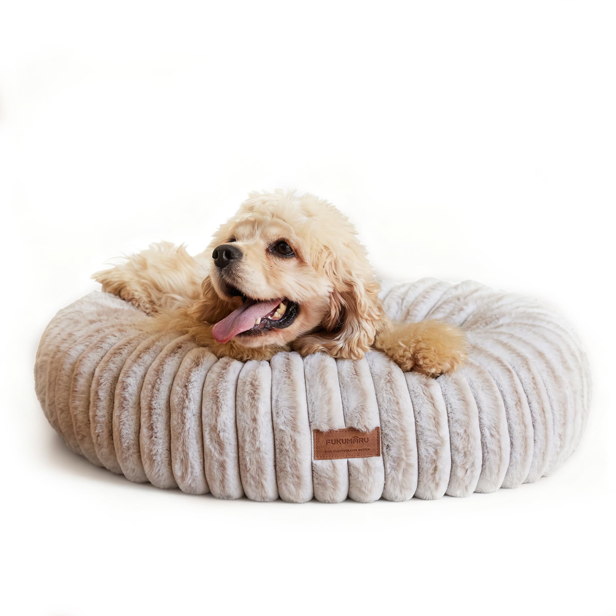 FUKUMARU Hundebett，Katzenbett für den Innenbereich, orthopädisches Hundebett, waschbare Abdeckung, modernes Design mit Farbverlauf. 64 x 64 x 18 cm, Kamel