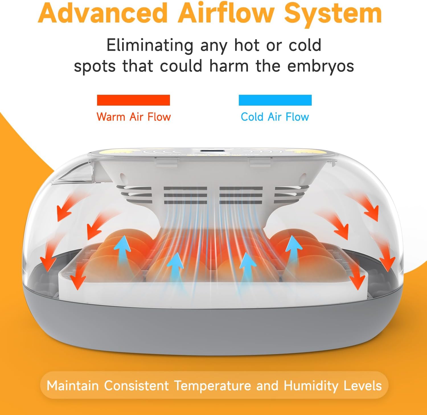 Diagram illustrating the advanced airflow system within the incubator, showing warm and cold air circulation.