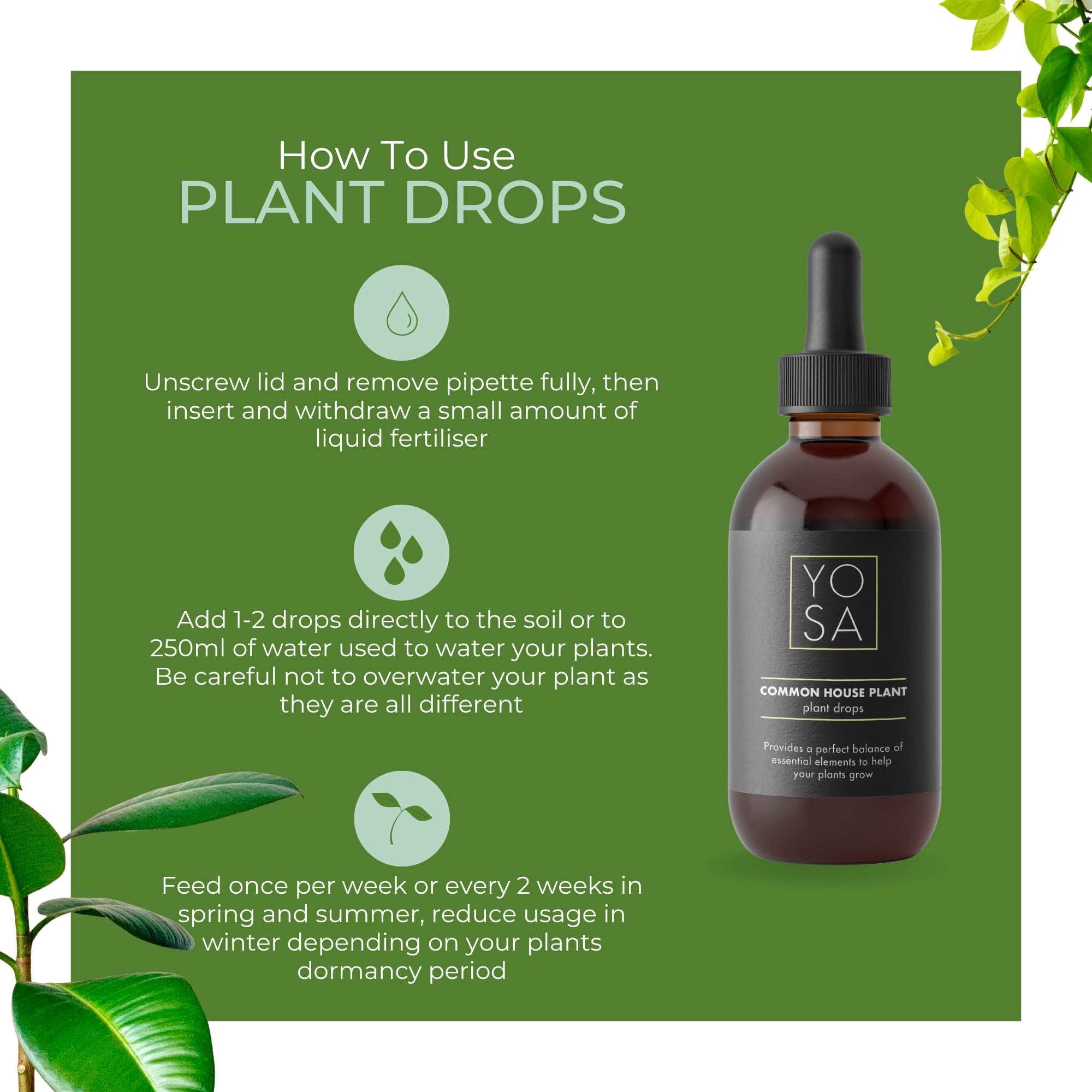 YOSA Cacti & Succulent Indoor Plant Food 100ml – Premium