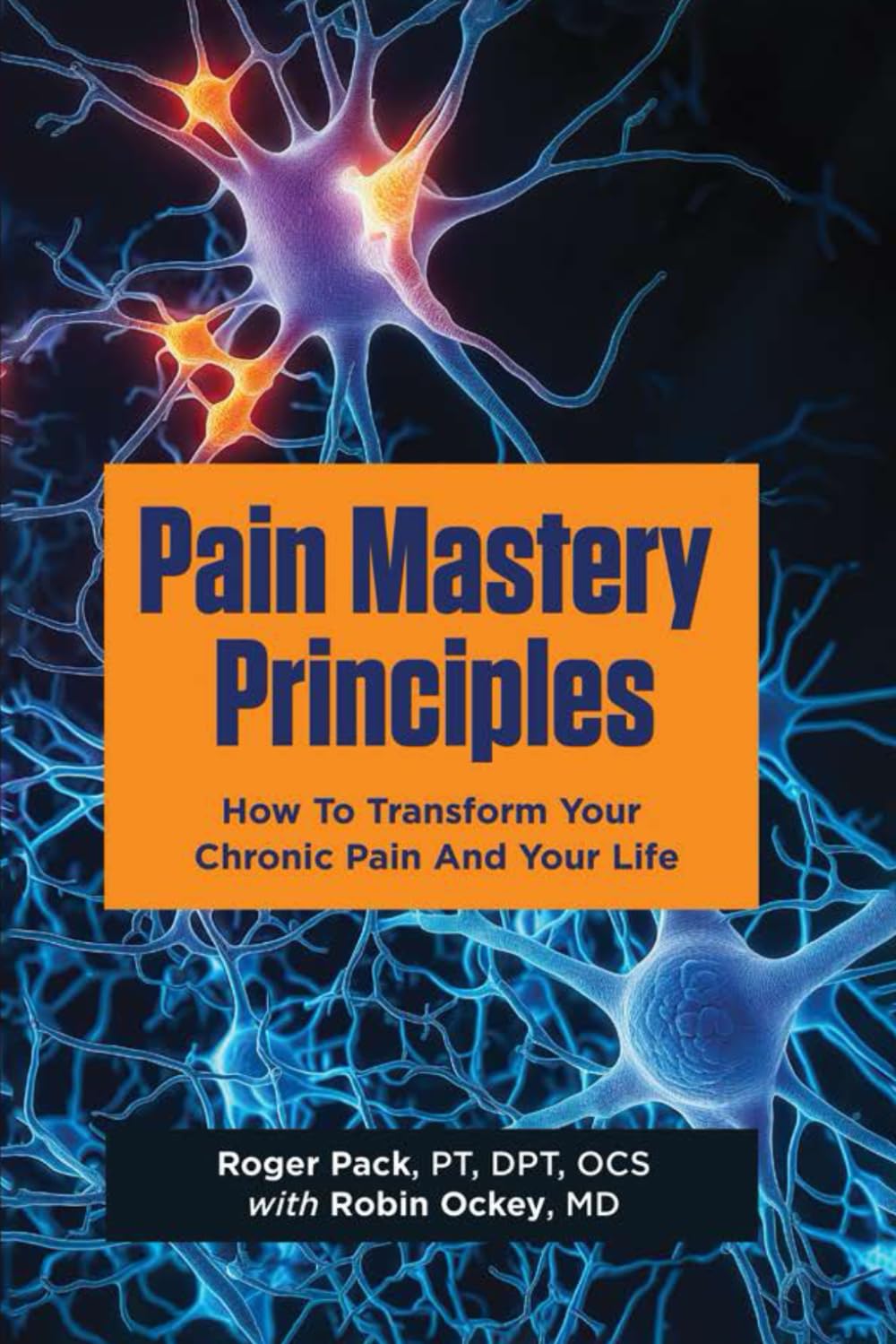 Principles of Pain Mastery: How to transform your chronic pain and your life