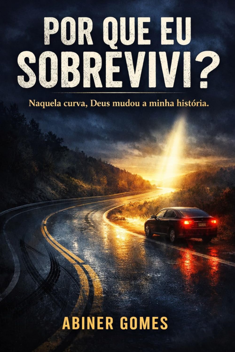 Por que eu sobrevivi?: Naquela curva, Deus mudou a minha história.