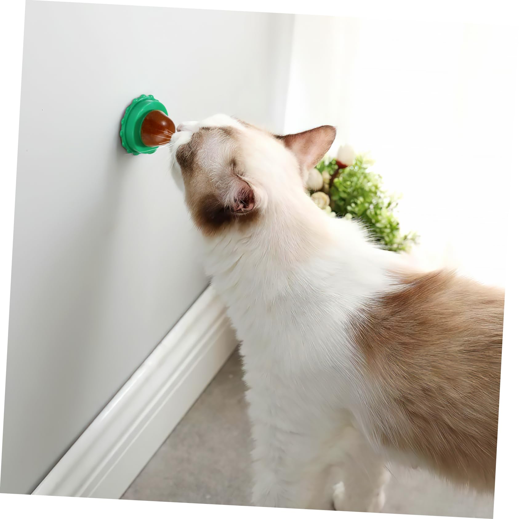 Ipetboom 30piezas Bolas Lamedoras para Gatos De Golosinas Nutritivas Sabores Aleatorios Suplemento Hidratante para Mascotas