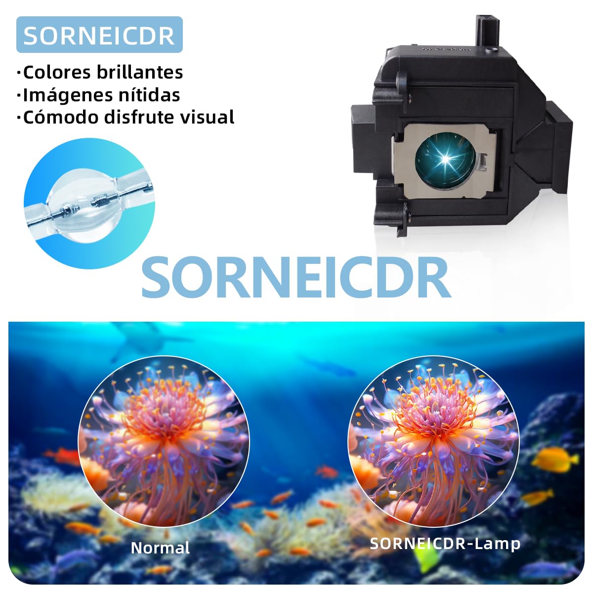 Lampada Proiettore Per Epson ELPLP69/V13H010L69 PowerLite Home Cinema 5020ub 5030ub 5025ub 5020ube 5030ube 5010E 6030ub 6020UB 6010 4030 Videoproiettore