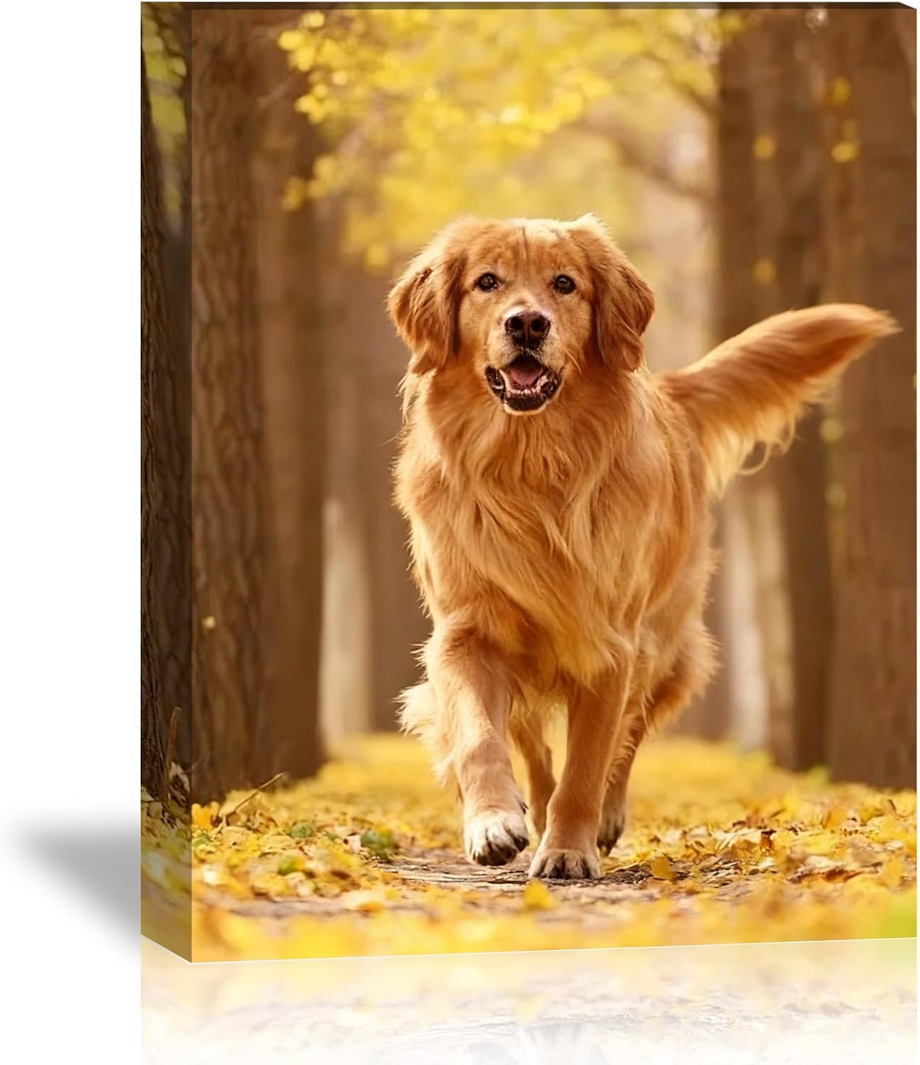 Custom Canvas Prints with Your Photos for Pet/Animal,Personalized Canvas Pictures for Framed Wall Art for your Pets Baby Family (16''L x 24''W)