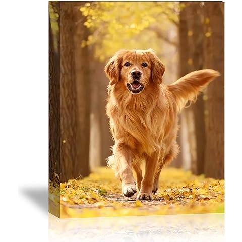 Custom Canvas Prints with Your Photos for Pet/Animal,Personalized Canvas Pictures for Framed Wall Art for your Pets Baby Family (8''L x 10''W)