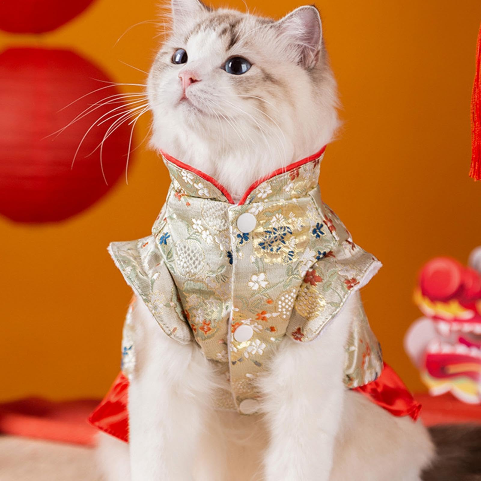 猫の服 、 秋冬物、 クラシックドレスタイプワンピース ブラック