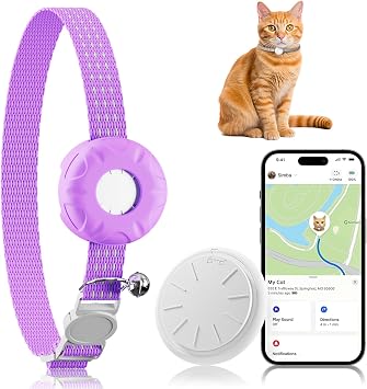 GPS  Apple Find My AppiOS         1
