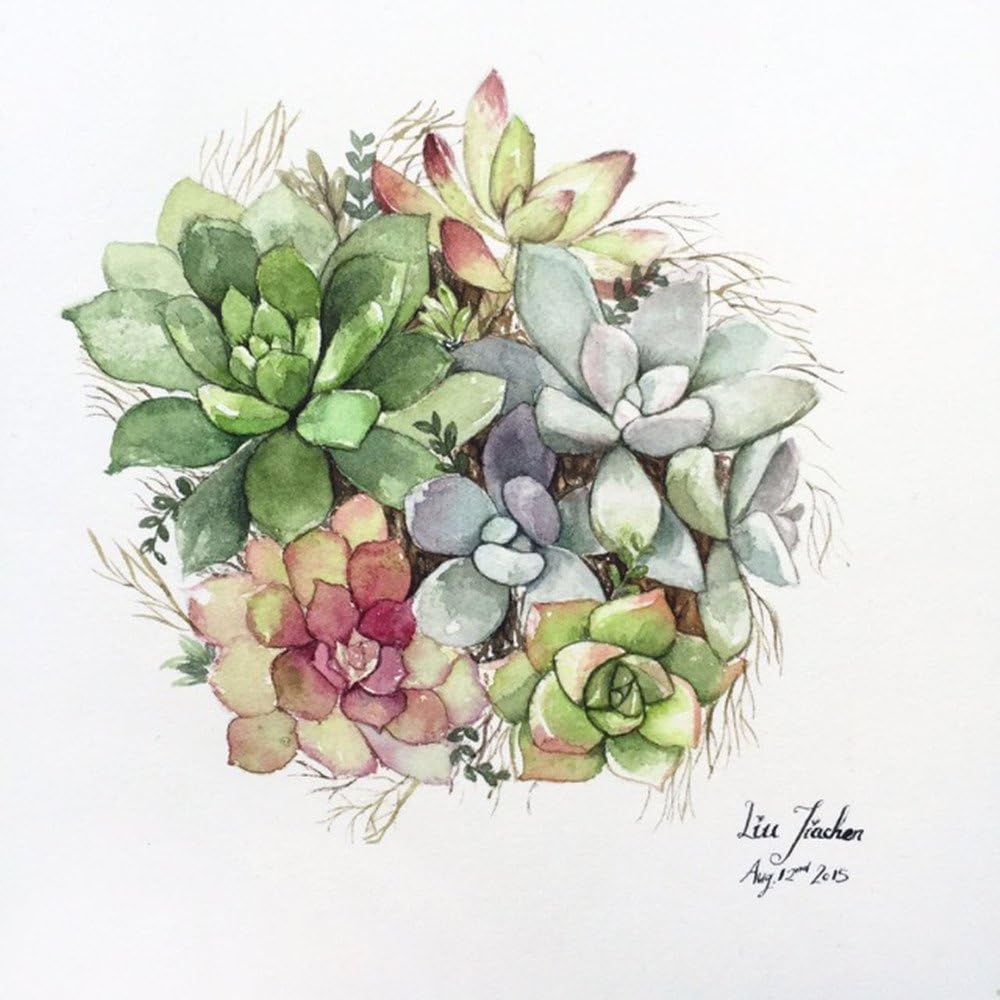 Jiachen Art Succulent Plant Watercolor Copy Photo Painting Painting Print Fine Art Print Wall Art Home Decor Wall Hanging Christmas Gift,Four Size