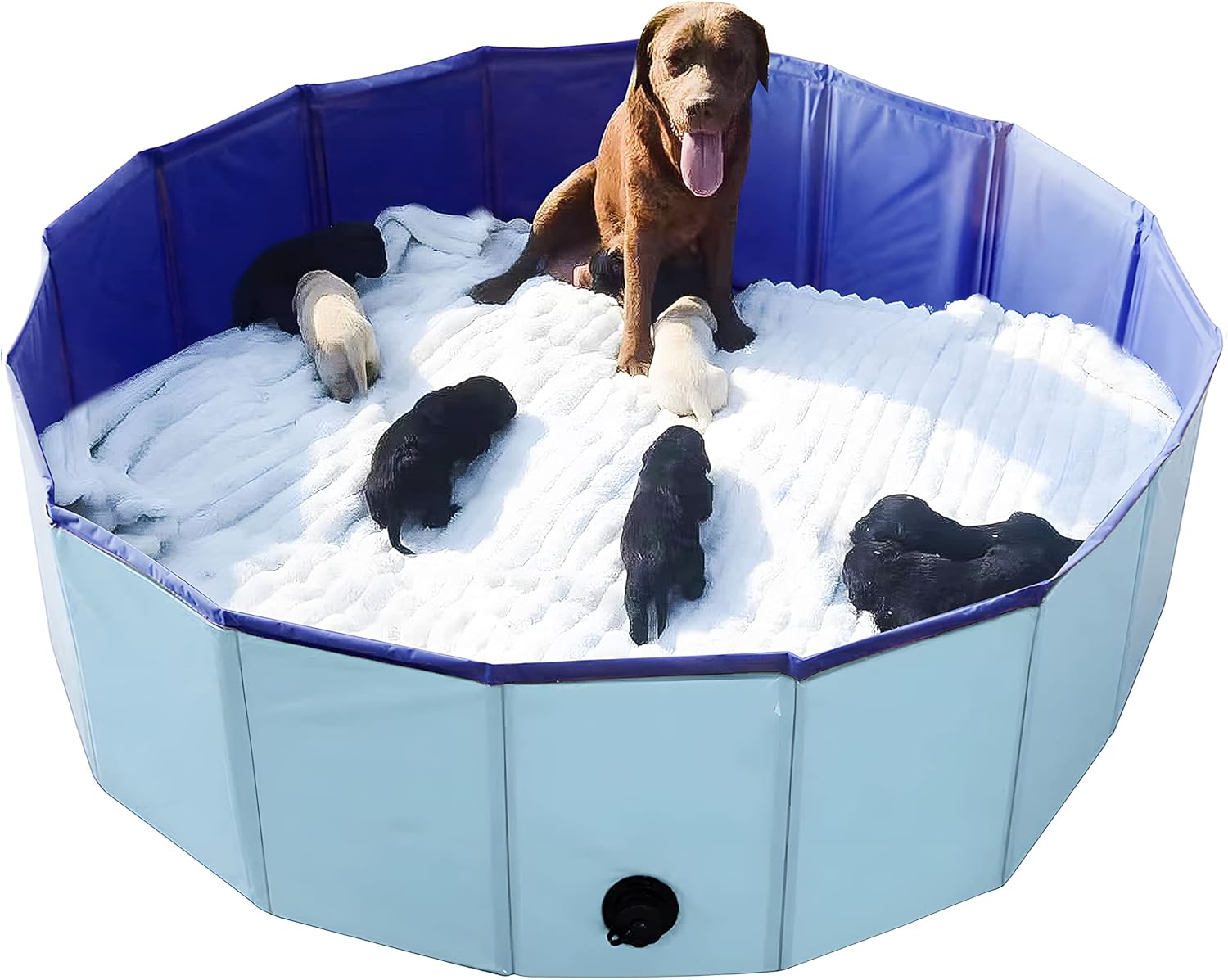 Artilife Whelping Box for Dogs Welp Box Whelping Pool,Puppy Whelping