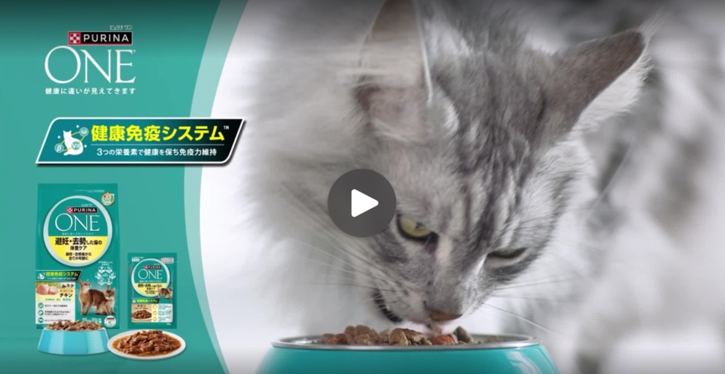 Amazon | ピュリナワン キャットフード ドライ 避妊・去勢した猫の体重