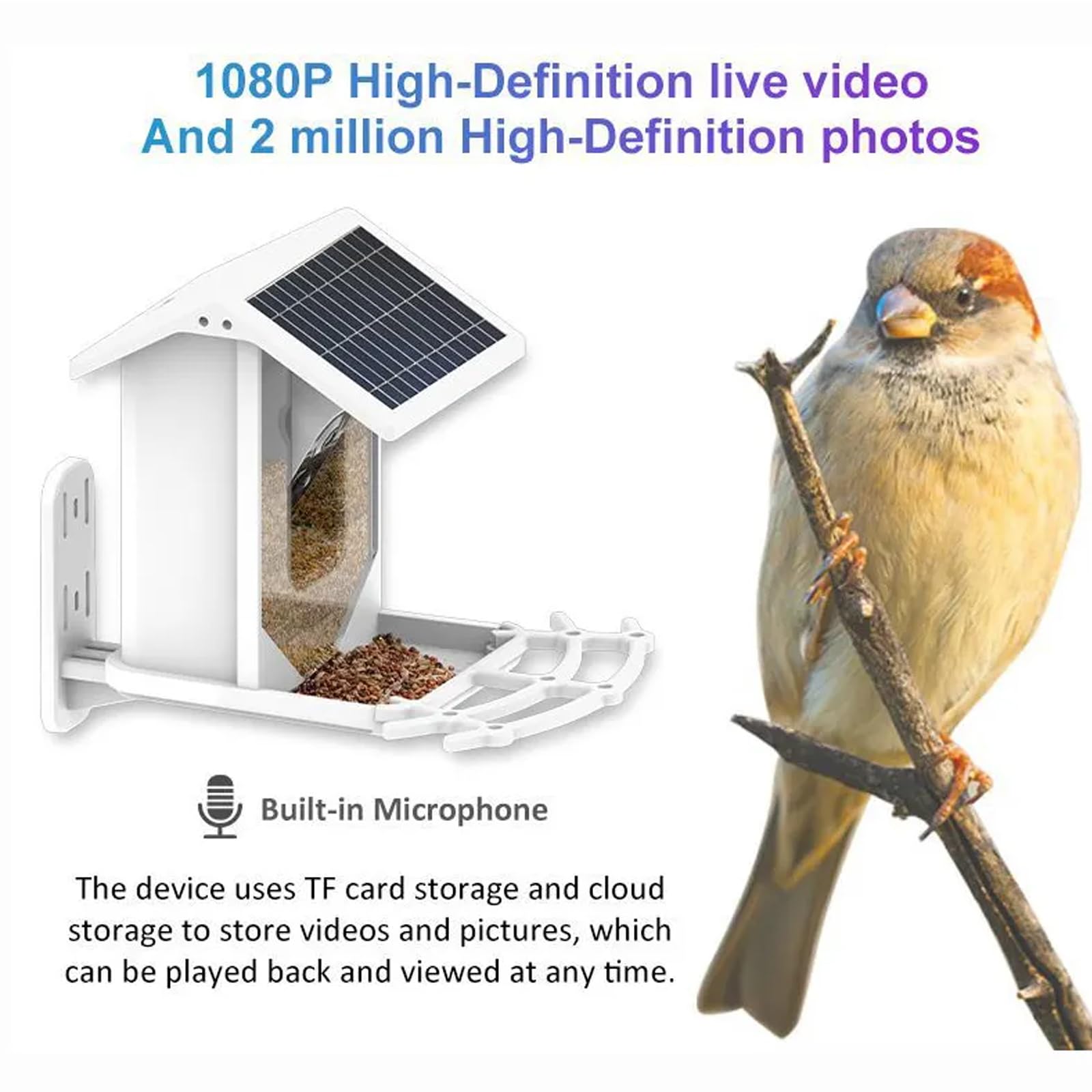 フジカラーHR店頭用ディスプレイ（小鳥） ferplast（ファープラスト） 鳥 小鳥 用 おもちゃ 鏡 PA 4212 おもちゃ