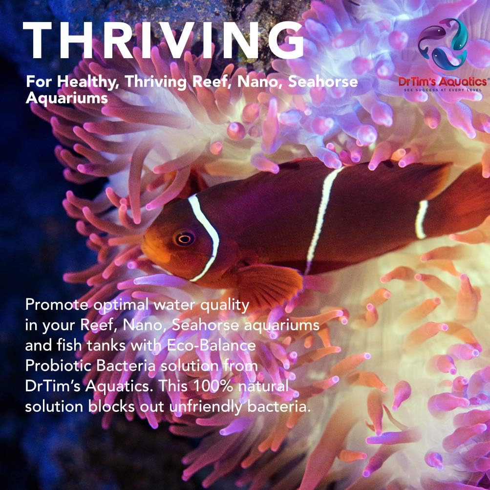 DrTim's Aquatics Reef Eco-Balance Probiotic Bacteria – For Reef, Nano, Seahorse Aquaria, Fish Tanks, Aquariums – Blocks Unfriendly Bacteria, Promotes Optimal Water Quality – 100% Natural – 128 Oz.