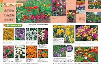 那須の植物誌　続編　2冊セット 【保育社】 増補改訂版・植物 (ニューワイド学研の図鑑2) | 大場達之 |本