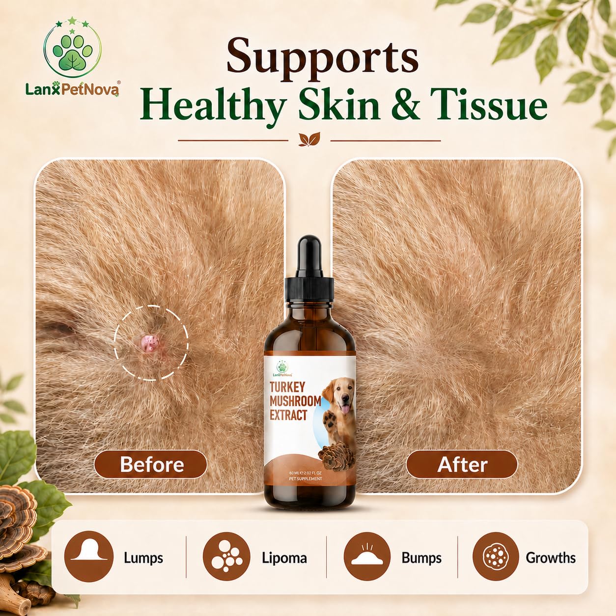 Estratto di funghi per cani e gatti, Reishi e Chaga, supporto per il sistema immunitario, pelle, fegato, reni e digestione, ideale per animali anziani e con ridotta vitalità