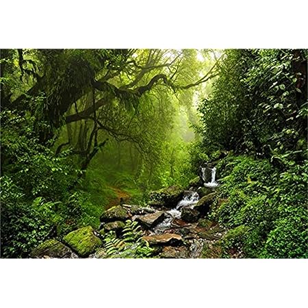 DORCEV 10x8ft Forest Waterfall Backdrop Tropical Rainforest Rustic View Photography Background Realistic Jungle Backgrounds for Kids Birthday Party Decor Adults Portrait Photo Studio Props DORCEV 10x8ft Forest Waterfall Backdrop Tropical Rainforest Rustic View Photography Background Realistic Jungle Backgrounds for Kids Birthday Party Decor Adults Portrait Photo Studio Props