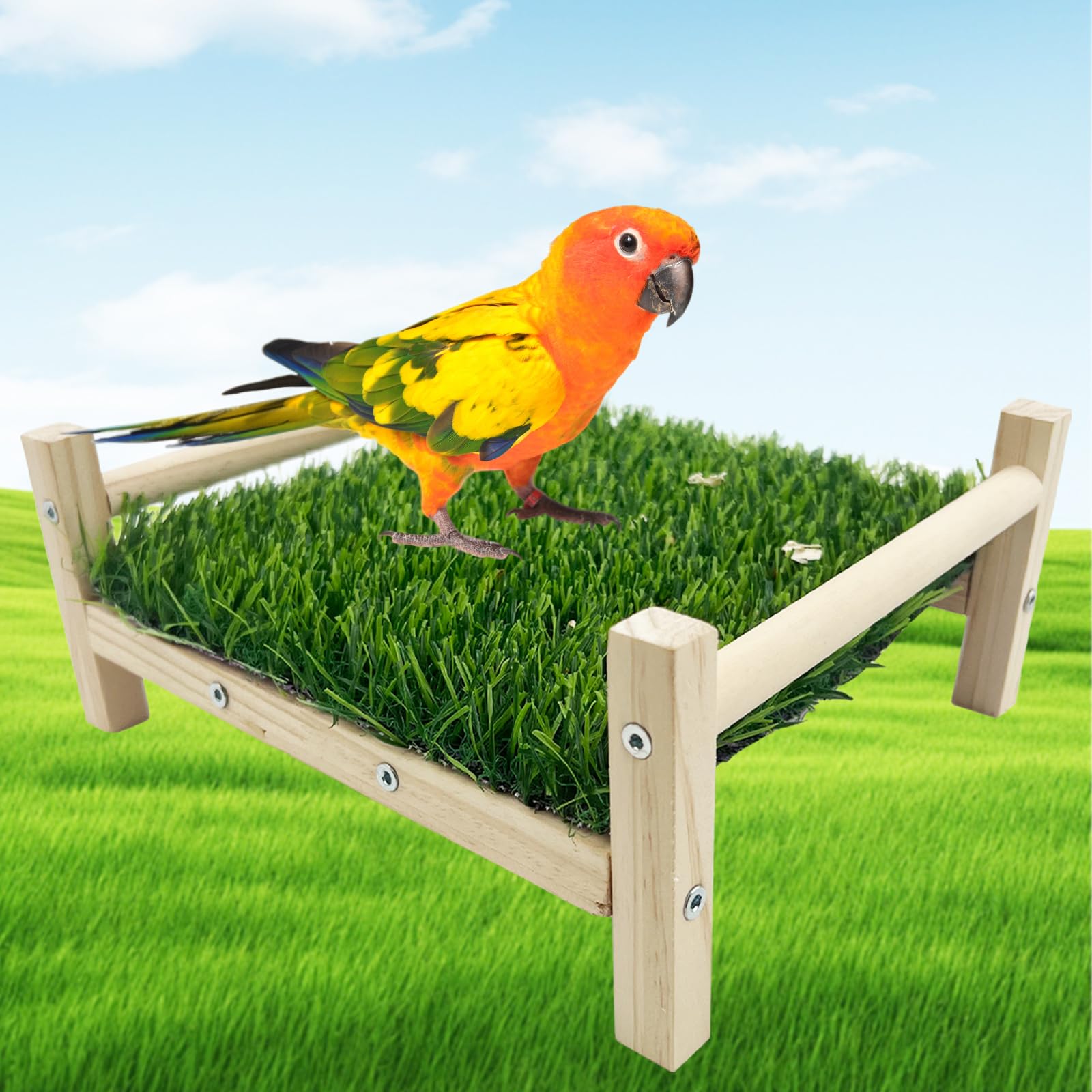 Bird Toy with Foraging Mat, Parrot Forage Toy Bed, Parrot Grass Perch Hammock Bed, Bird Perch Conure Platform Grass Forage Toy for Parakeet, Cockatiel, Lovebird, Budgie - image 6