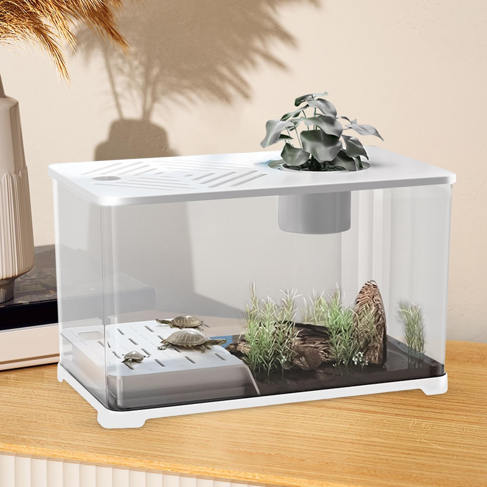 Acuario Para Peces Betta Pecera Grande De Escritorio Para Peces | Recipiente Panorámico HD Decoración Moderna Para Hogar Oficina Y Escritorio