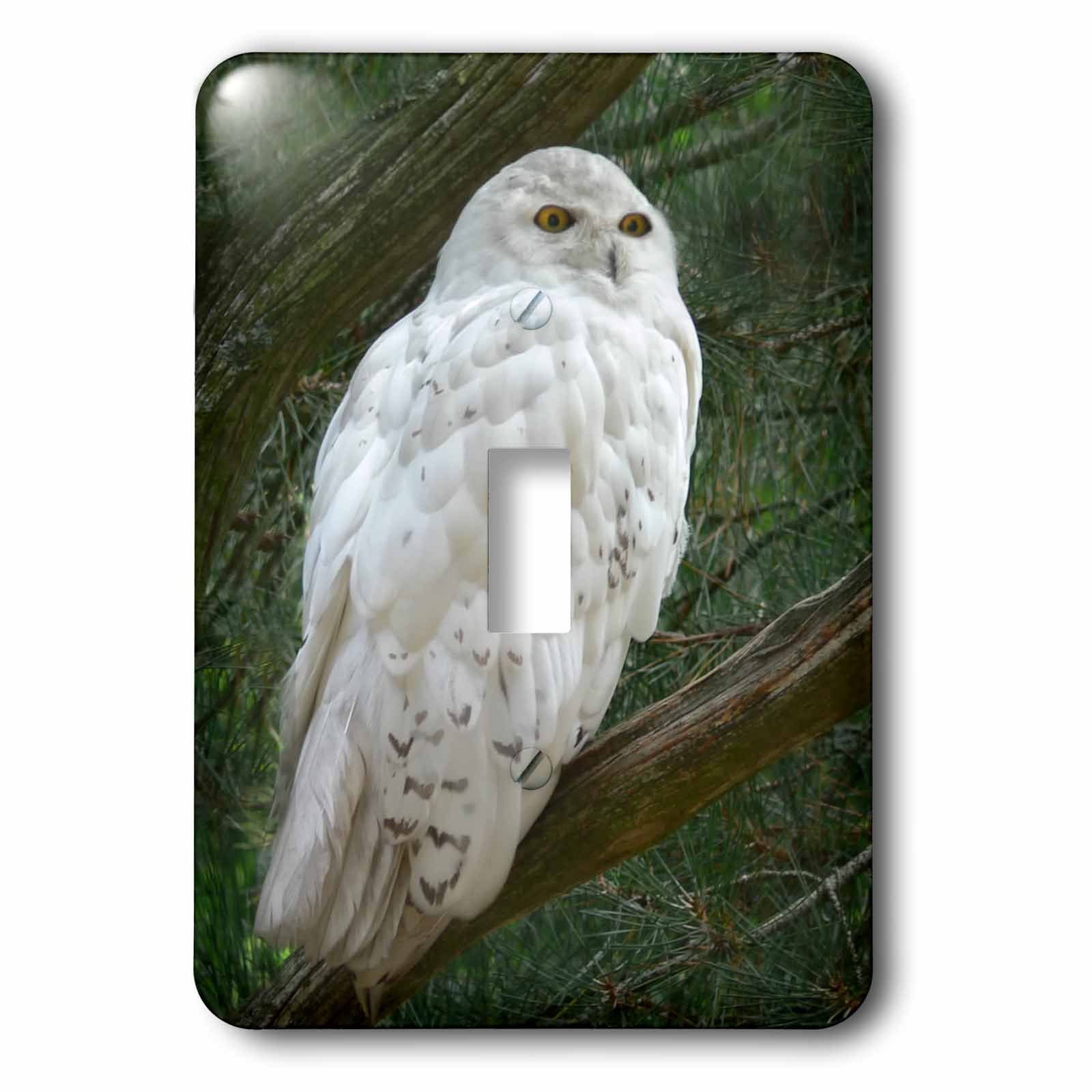 Interrupteur simple à bascule motif chouette blanche neige 3dRose lsp_154800_1