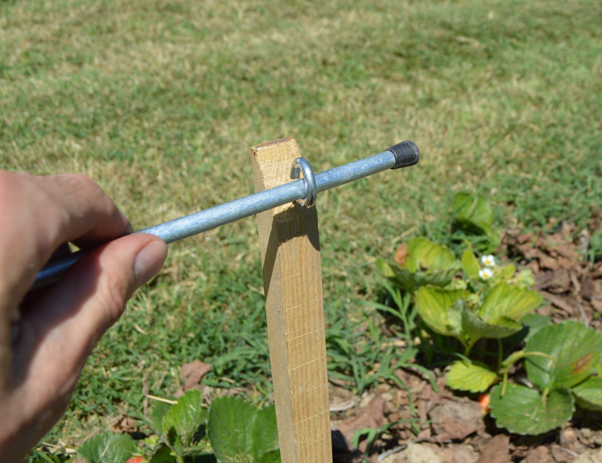 Mini serra 2 mt per orto e giardino