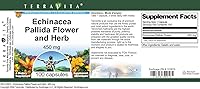 Vista 4 de Terravita Echinacea Pallida Flor y Hierba - 450 mg (100 Cápsulas, ZIN: 510915)