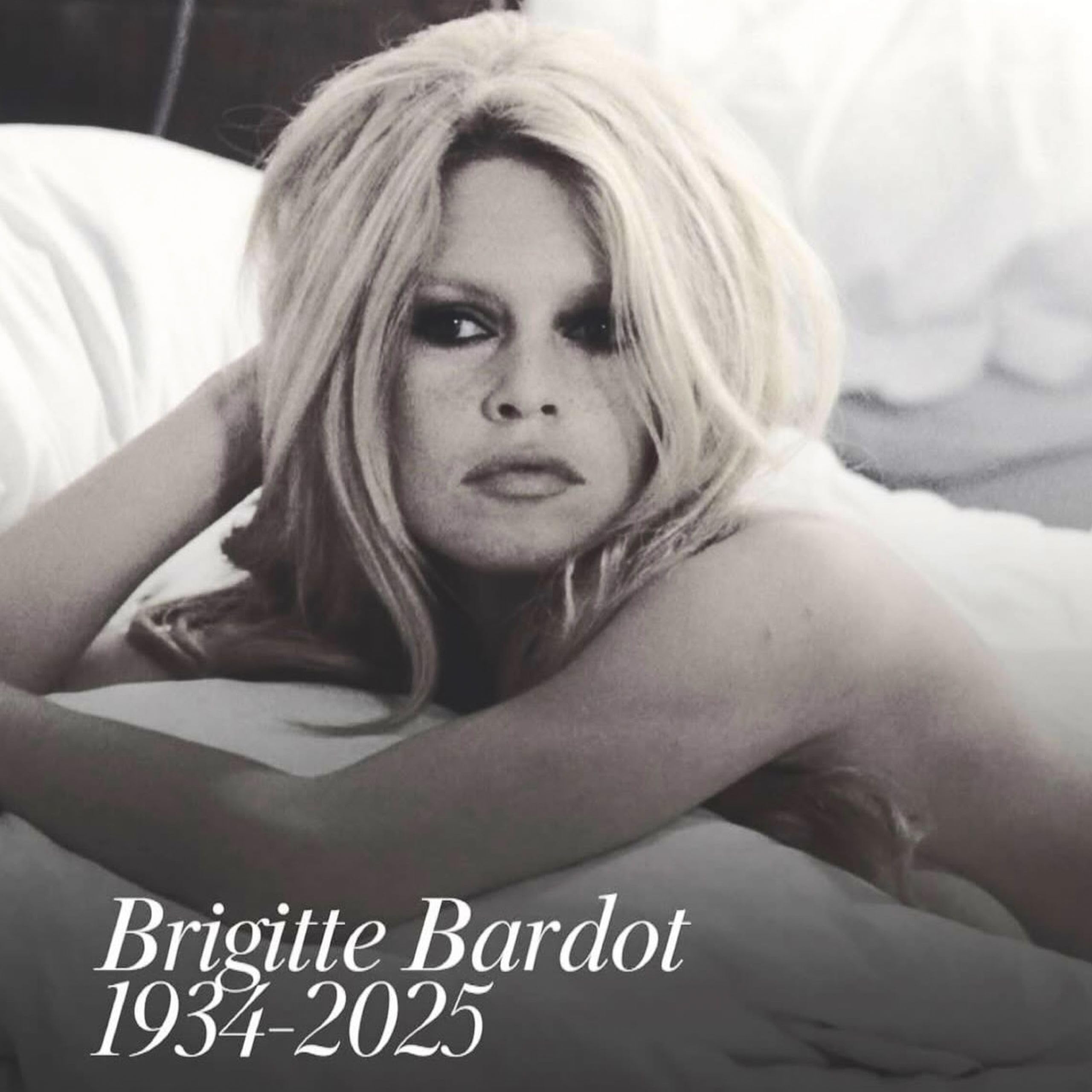 Bardot Dry Shampoo 198 g / Trockenshampoo / Absorbiert Fett, verleiht Volumen und Textur / mit Weizenprotein / Vegan