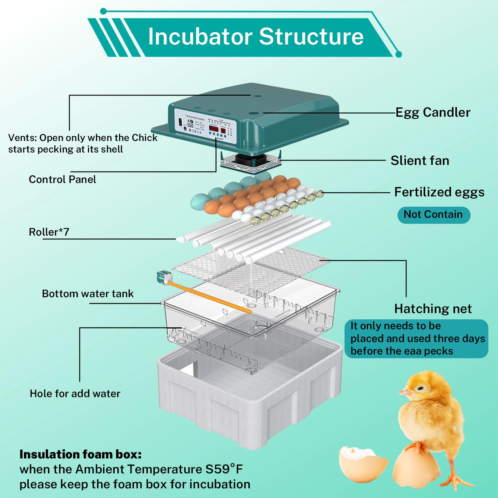 36/120 Incubadora Huevo Automático, Huevos Incubadoras para Huevos De Ave De Coral, Silenciador Incubadora De Huevo Automático, Incubadora Con Cubierta Caliente (36)