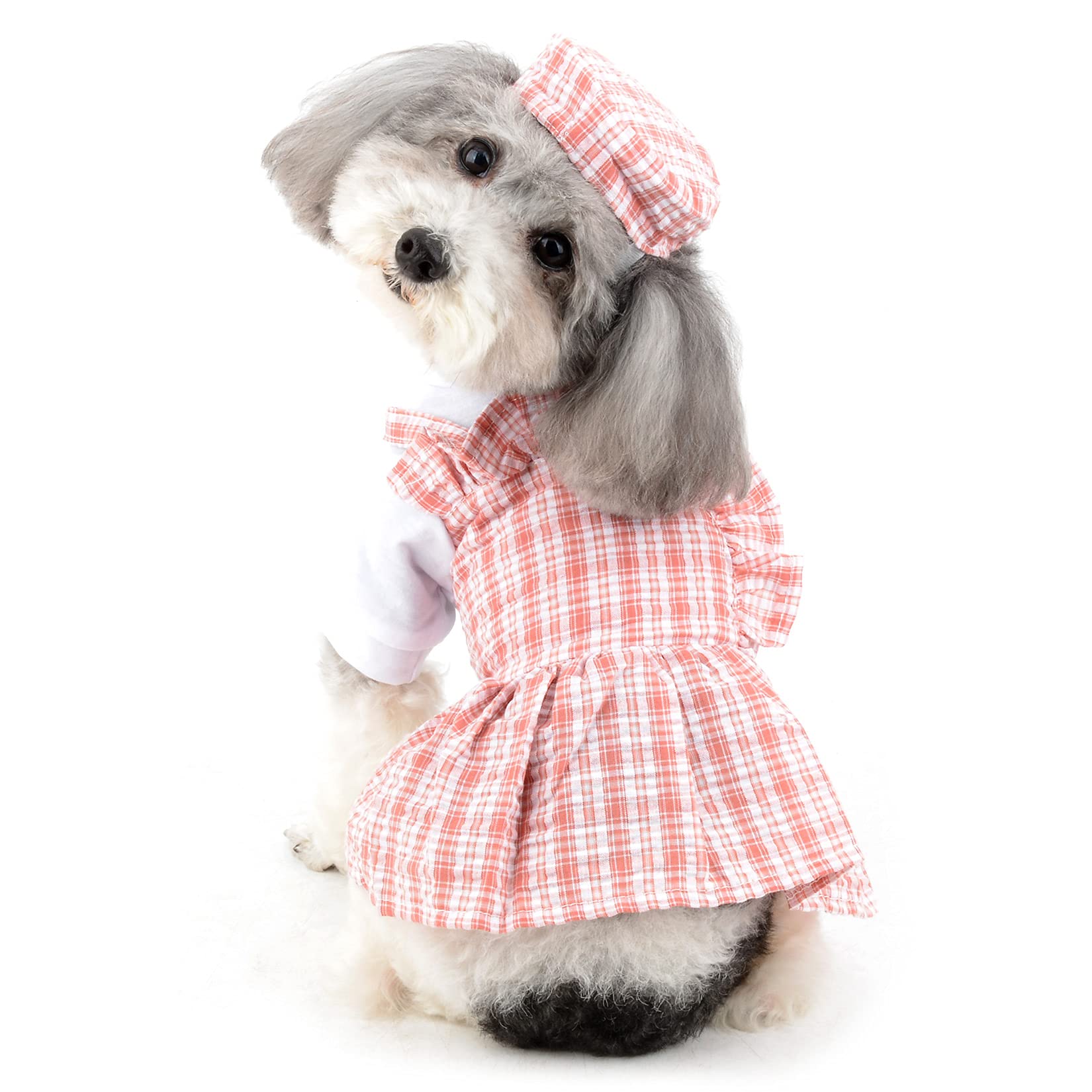 Weißes Hundekleid Mit Blumenstickerei | Prinzessinnen-Kleid Für Kleine Hunde & Katzen | Größe L