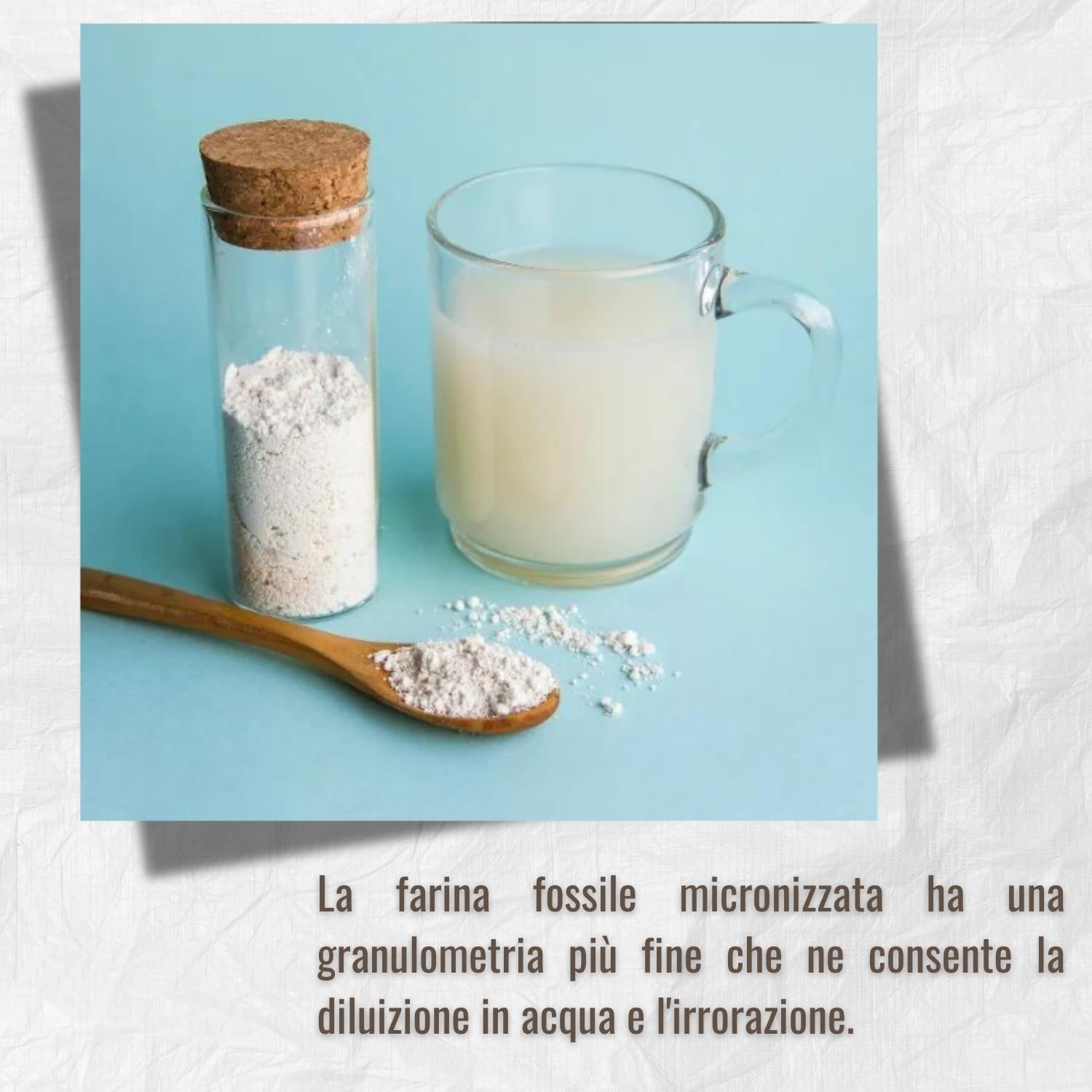 | AGROBULL | Terra di diatomee 1 KG, 2 KG, 5 KG Grado Alimentare, elevata Purezza e utilizzabile in Agricoltura Biologica (1 KG)