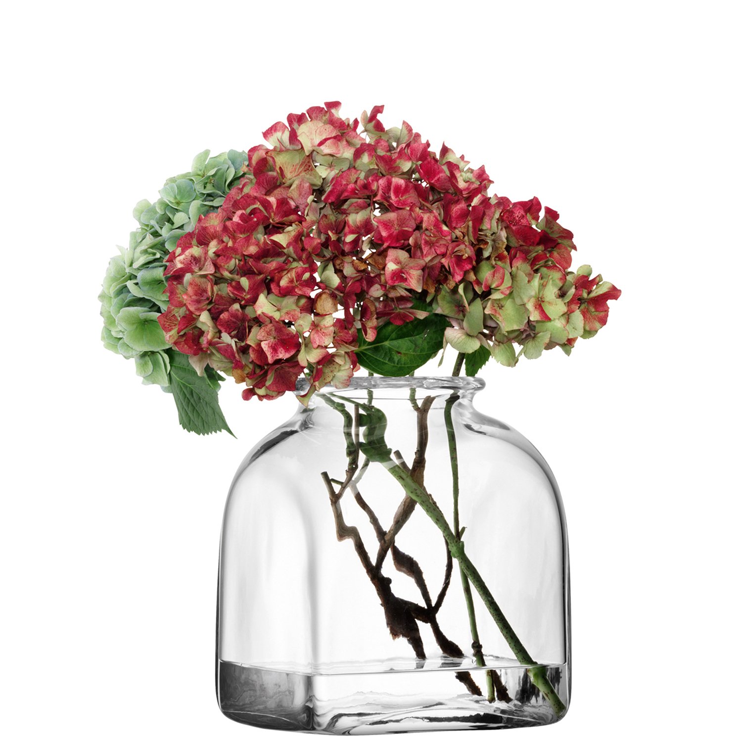 Amazon.co.jp: LSA(エルエスエー) フラワーベース(花器) クリア 高さ