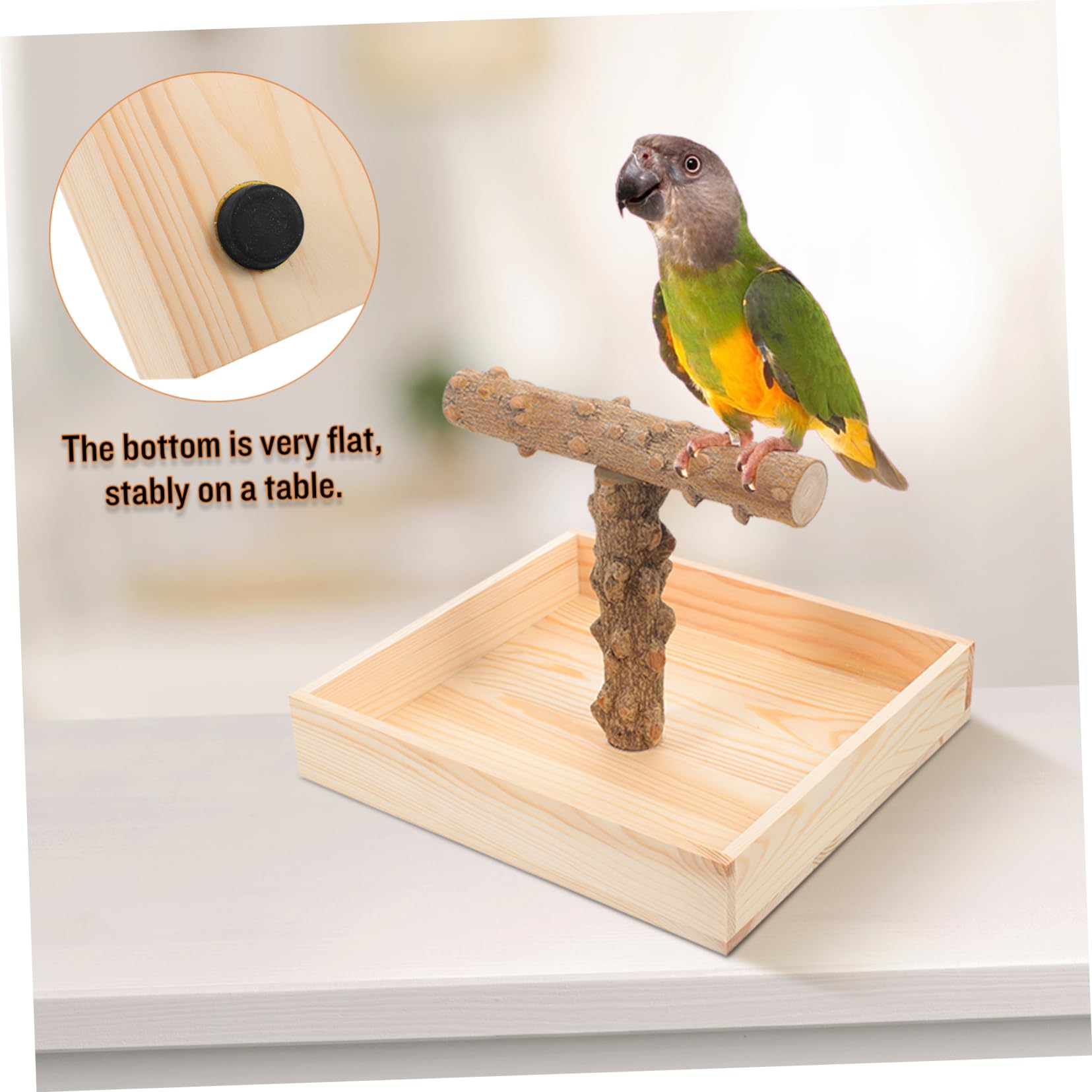 UKCOCO Sittichsitzstange Aus Holz Für Vogeltraining Natürliche Papageiensitzstange Für Sittiche Nymphensittiche Unzertrennliche Vögel Und Tauben Robust Und Dekorativ Für Vogelkäfig
