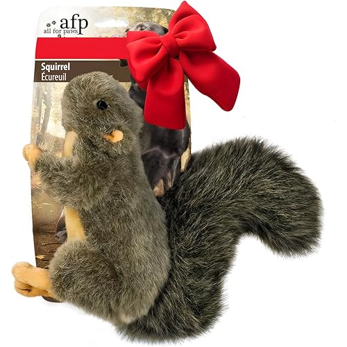 ALL FOR PAWS Interactive Dog Squirrel Plush Squeaky Toy - Perfect Puppy Enrichment Toy, Large