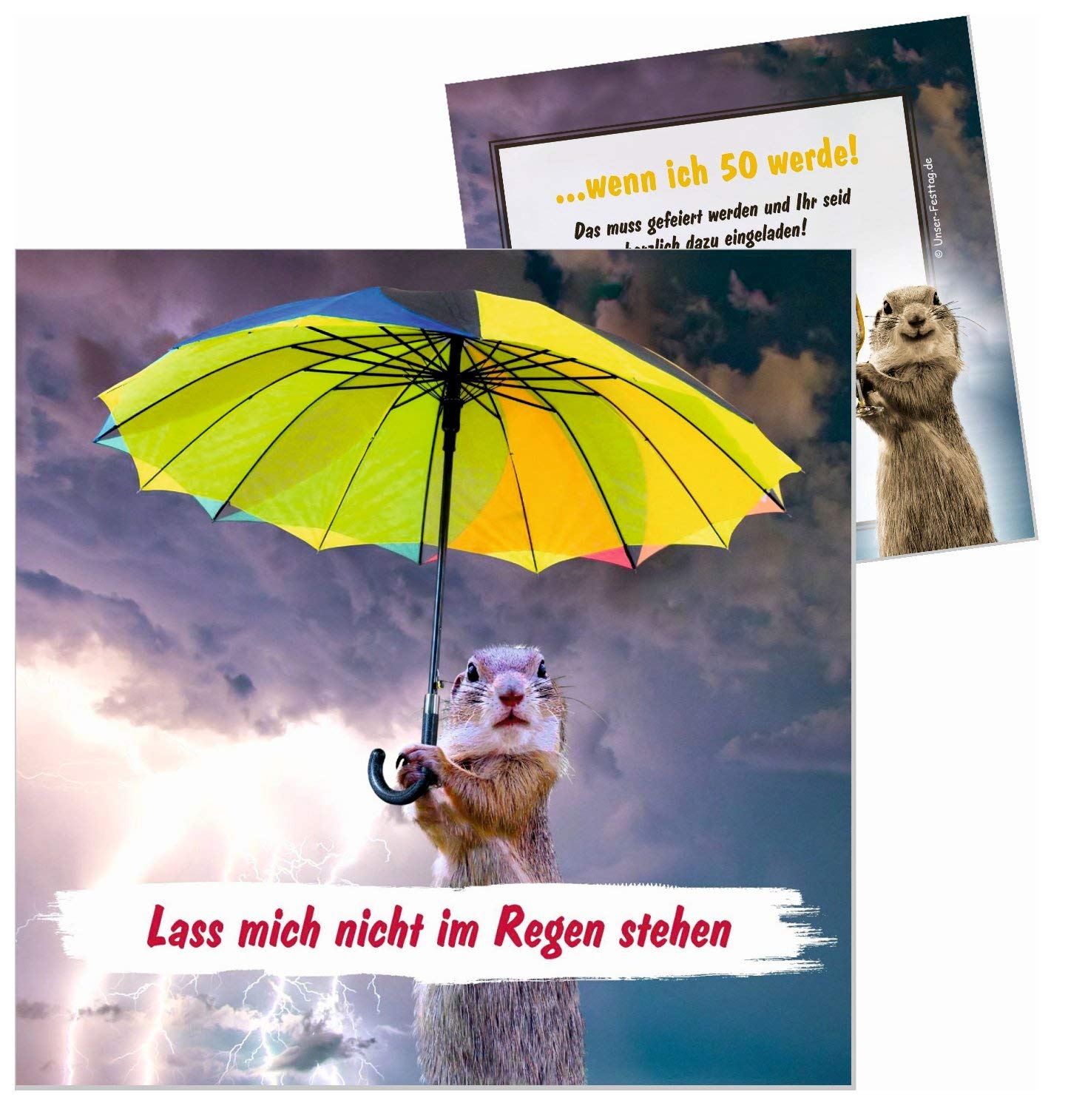 Unser-Festtag Lass mich nicht im Regen stehen Geburtstagseinladungen -  lustig, witzig, originell persönlich - 90 Karten : Amazon.de: Küche,  Haushalt & Wohnen