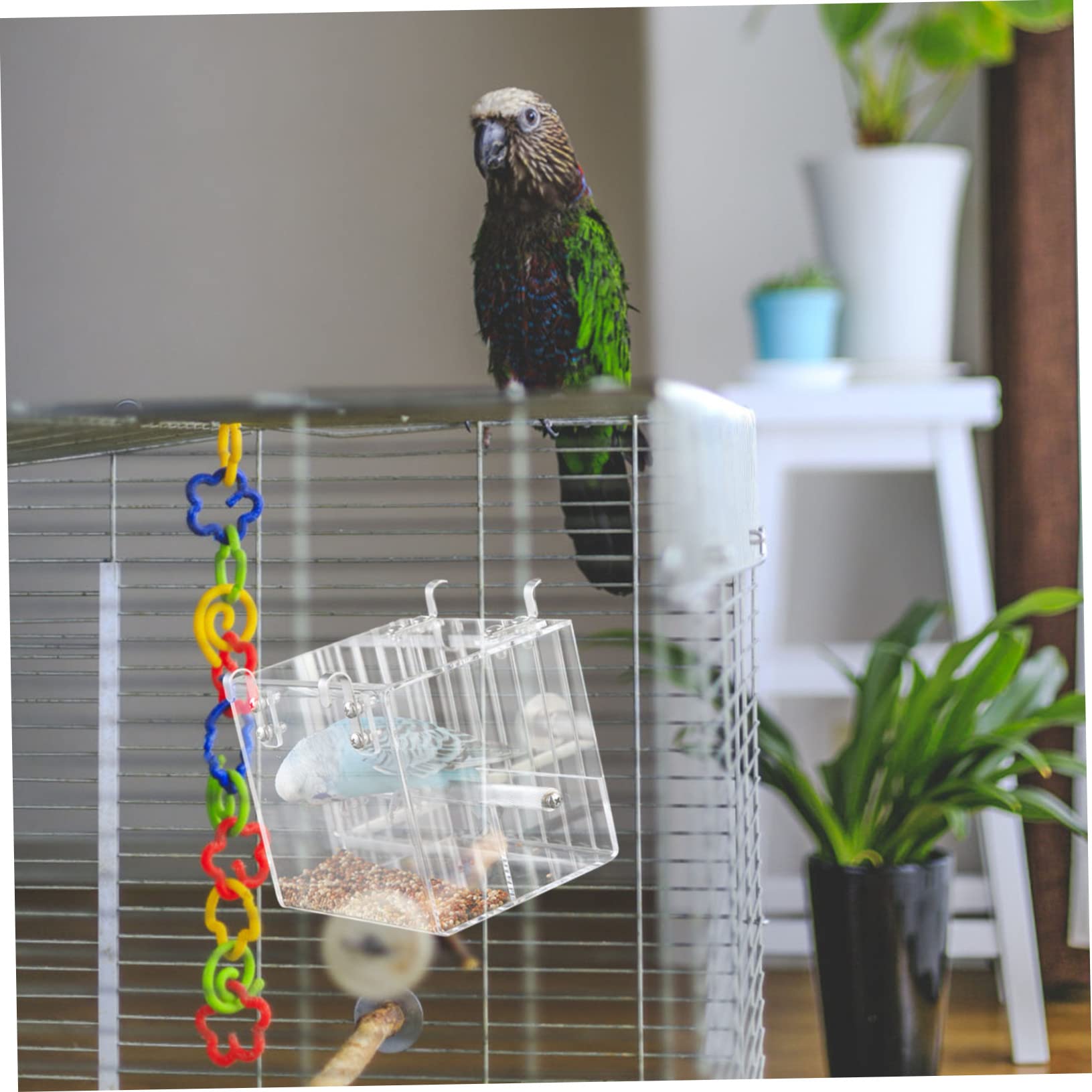 Mangeoire à Oiseaux Automatique en Plastique à Suspendre pour Perroquet