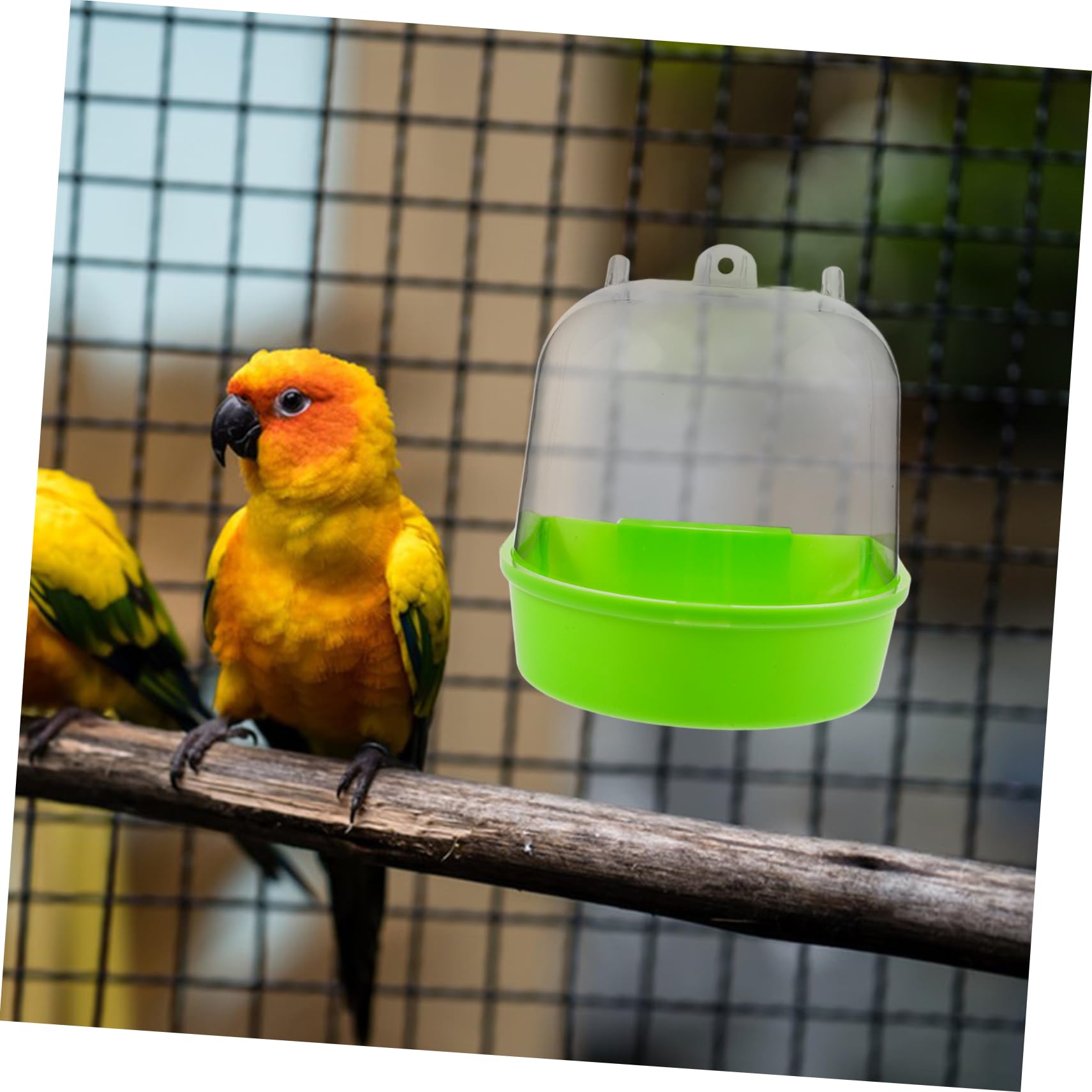 Sosoport 4pezzi Pet Bird Bath Box Vaschetta per Bagno per Uccelli Accessorio per Pappagalli e Piccole Creature Vasca da Bagno Resistente Giocattolo Divertente per Benessere degli Uccelli