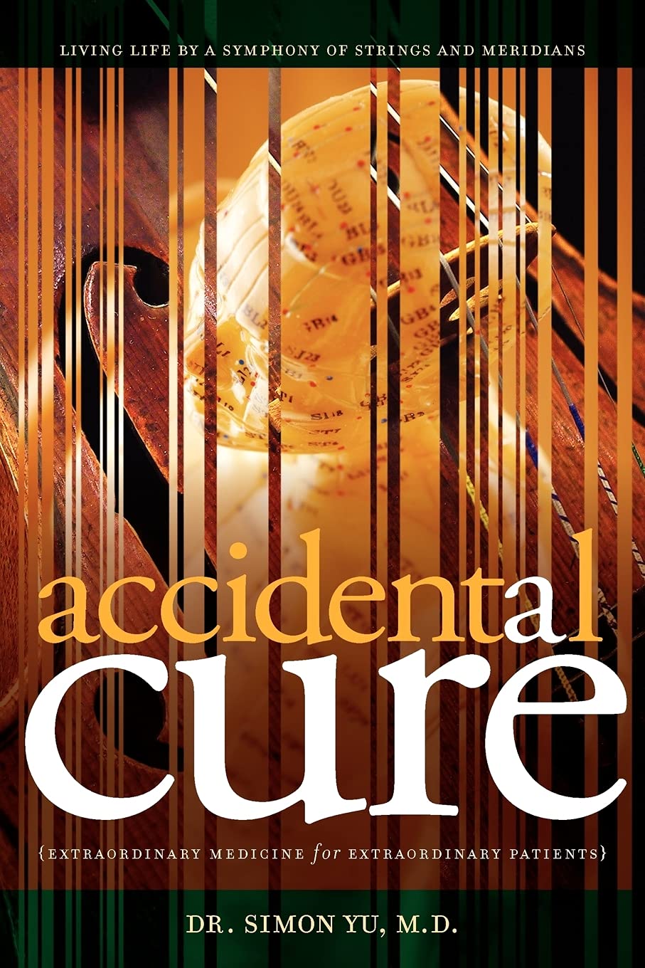 Accidental Cure: Extraordinary Medicine for Extraordinary Patients: 1 (Medical Acupuncture)