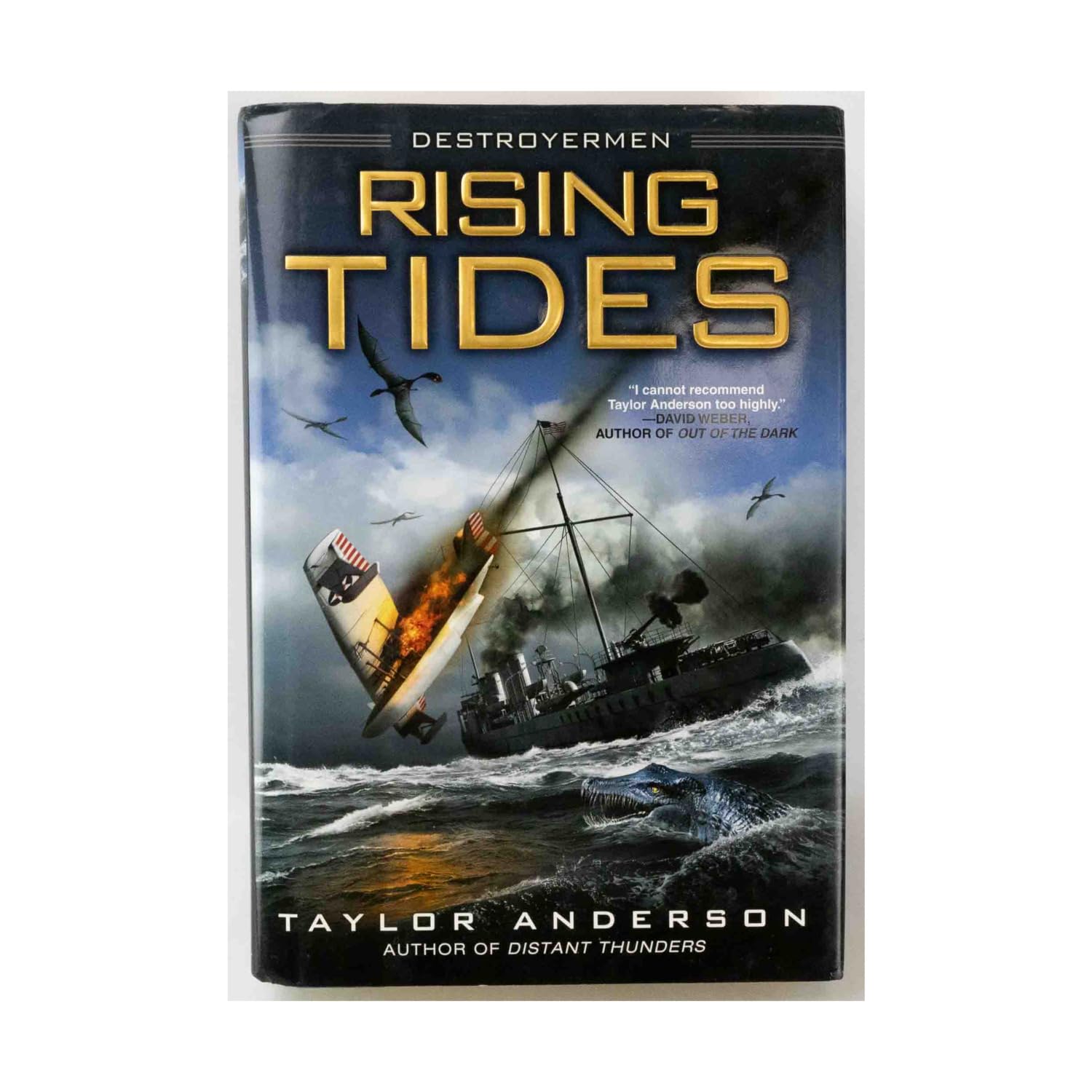 Buy Rising Tides: Destroyermen — BookShops.in