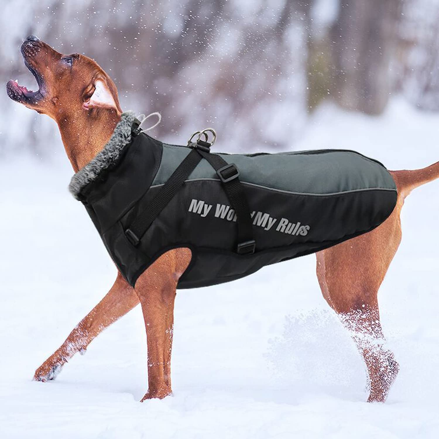 FEimaX Abrigo para Perro de Invierno Impermeable Chaqueta de Felpa Cálido Reflectante Chaleco de Algodón Suave para Cachorro Ropa para Mascotas Perros Pequeños, Medianos y Grandes
