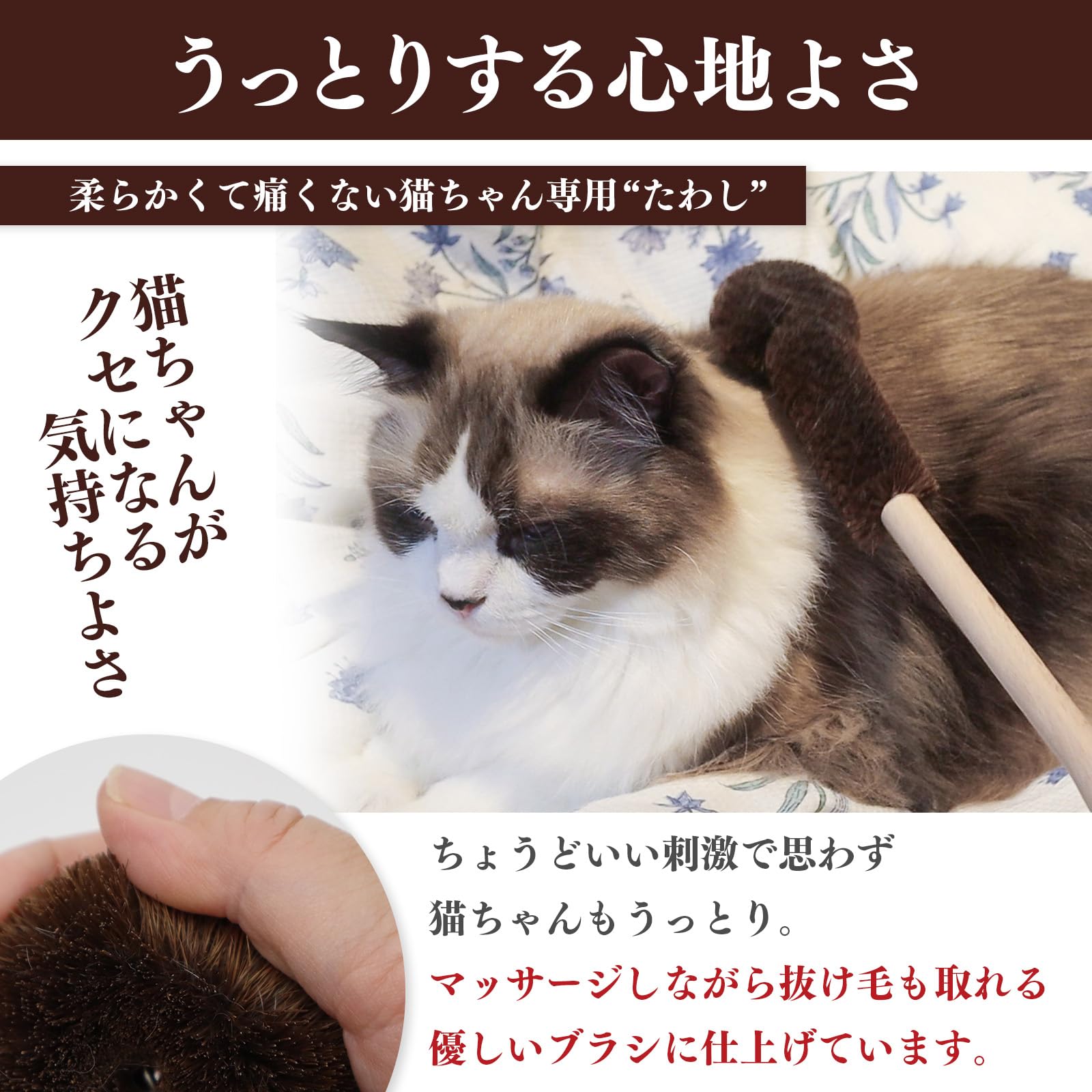 Amazon | ペットプロ 猫用 ブラシ 抜け毛取り マッサージ グルーミング