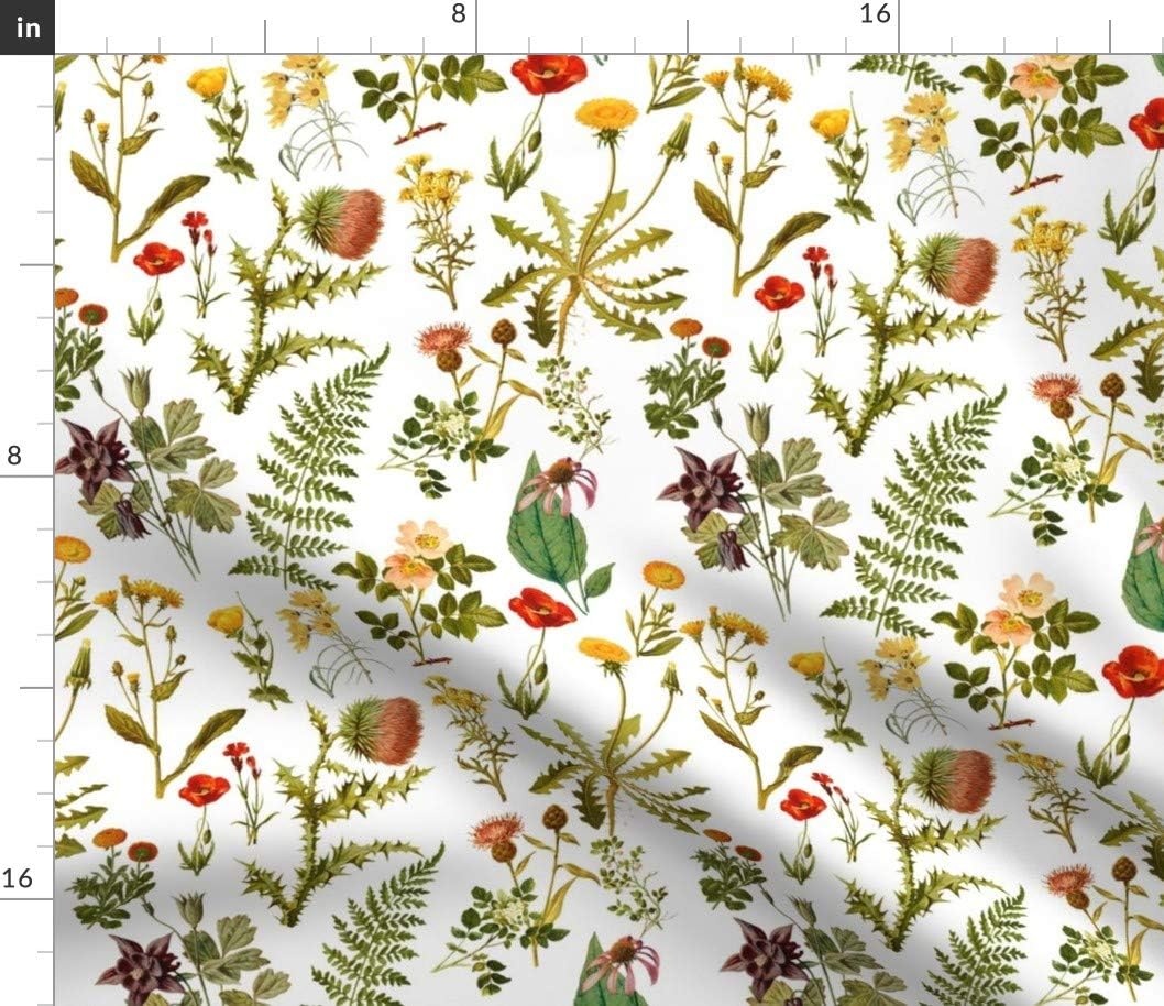 Spoonflower Fabric - Vintage Botanical Wildflowers Small Florals Botanicals Woodland Printed on Petal Signature Cotton Fabric by The Yard - Sewing Quilting Apparel Crafts Decor