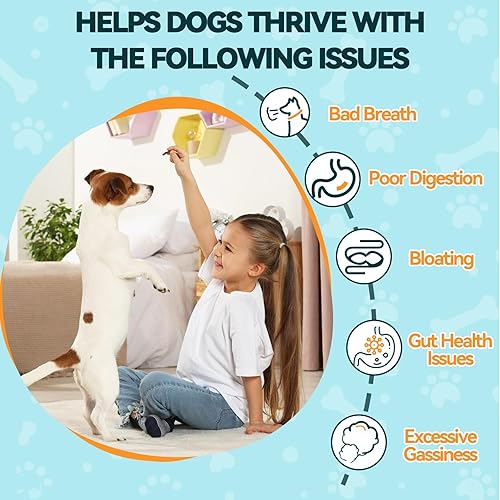 Miniatura 5 de Carmelie Probióticos para perros, 200 masticables suaves, probióticos digestivos y enzimas para la salud intestinal con calabaza, fibra para perros,